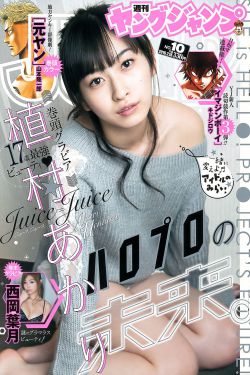 甄嬛传43集